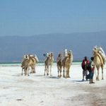 about djibouti and things to do in djibouti