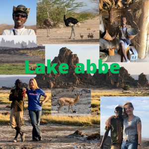 lake-abbe-elements